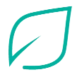 leaf-icon